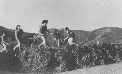 
	Le Chalutier, île de Poros 1951. Archives de Polyxeni Mathéy.