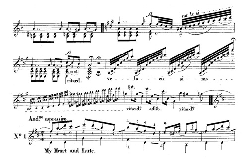 
	M.A. Zani de Ferranti : Divertissement sur trois romances anglaises pour guitare, Mayence, chez les fils de B. Schott, p. 2, extrait de l’Introduzion. Andante sostenuto.
