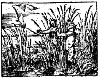
	Syrinx métamorphosée en roseaux, in Symeoni, G., La vita et Metamorfoseo d’Ovidio, figurato & abbreviato in forma d’epigrammi…, Lyon, Giovanni di Tornes, 1584, p. 30.