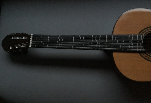 
	Photo de la touche de la guitare avec les frettes ajustées pour jouer AB (in memoriam) de Francisco Luque ; cette guitare Van der Waals a été équipée du système de frettes ajustables de Walter Vogt par le luthier Antoine Pappalardo. Elle appartient à Wim Hoogewerf, un guitariste investi dans la musique pour guitare en micro-intervalles.